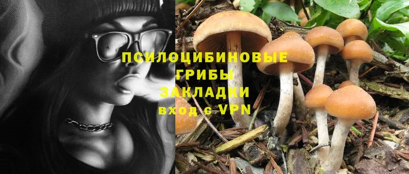 Псилоцибиновые грибы MAGIC MUSHROOMS Тверь